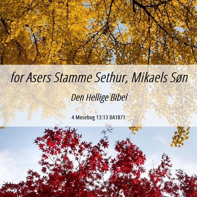Picture 06 - 4 Mosebog 13:13 DA1871 - for Asers Stamme Sethur, Mikaels - Bible Verse Picture