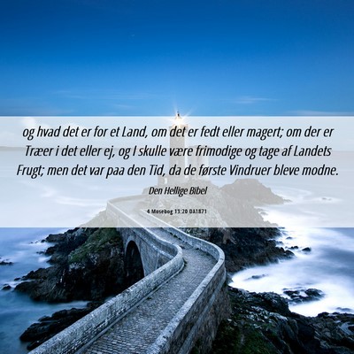 Picture 06 - 4 Mosebog 13:20 DA1871 - og hvad det er for et Land, om det er fedt eller - Bible Verse Picture