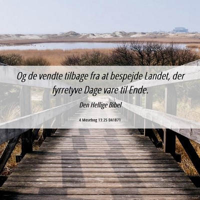 Picture 06 - 4 Mosebog 13:25 DA1871 - Og de vendte tilbage fra at bespejde Landet, der - Bible Verse Picture