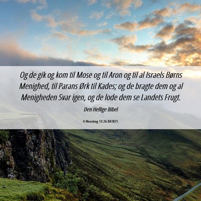 Picture 06 - 4 Mosebog 13:26 DA1871 - Og de gik og kom til Mose og til Aron og til al - Bible Verse Picture