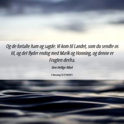 Picture 06 - 4 Mosebog 13:27 DA1871 - Og de fortalte ham og sagde: Vi kom til Landet, - Bible Verse Picture