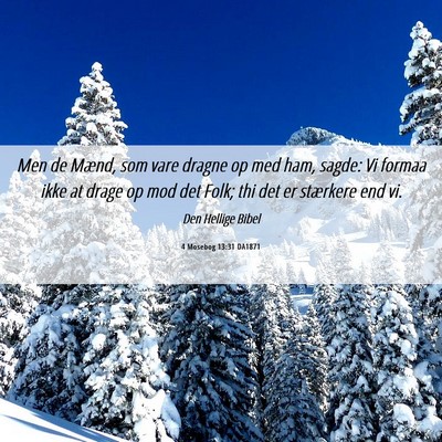 Picture 06 - 4 Mosebog 13:31 DA1871 - Men de Mænd, som vare dragne op med ham, sagde: - Bible Verse Picture