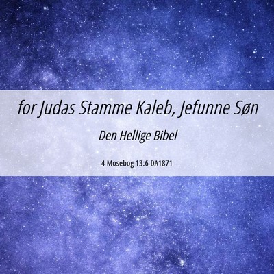 Picture 06 - 4 Mosebog 13:6 DA1871 - for Judas Stamme Kaleb, Jefunne - Bible Verse Picture