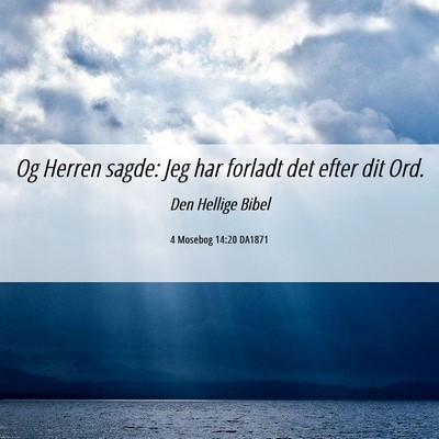 Picture 06 - 4 Mosebog 14:20 DA1871 - Og Herren sagde: Jeg har forladt det efter dit - Bible Verse Picture