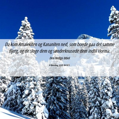 Picture 06 - 4 Mosebog 14:45 DA1871 - Da kom Amalekiten og Kananiten ned, som boede paa - Bible Verse Picture