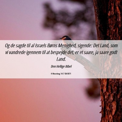 Picture 06 - 4 Mosebog 14:7 DA1871 - Og de sagde til al Israels Børns Menighed, - Bible Verse Picture