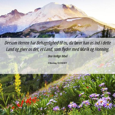 Picture 06 - 4 Mosebog 14:8 DA1871 - Dersom Herren har Behagelighed til os, da fører - Bible Verse Picture