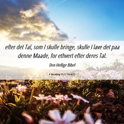 Picture 06 - 4 Mosebog 15:12 DA1871 - efter det Tal, som I skulle bringe, skulle I lave - Bible Verse Picture
