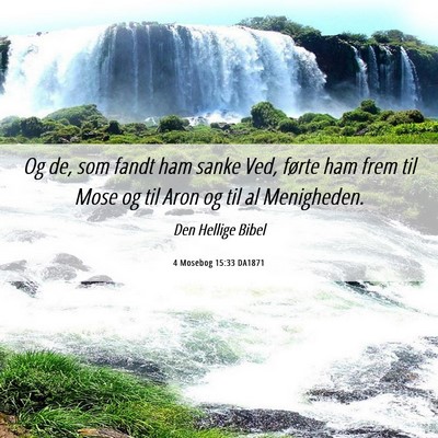 Picture 06 - 4 Mosebog 15:33 DA1871 - Og de, som fandt ham sanke Ved, førte ham frem - Bible Verse Picture