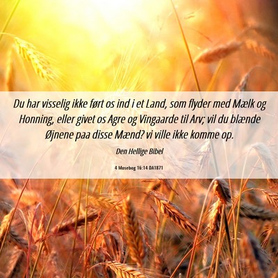 Picture 06 - 4 Mosebog 16:14 DA1871 - Du har visselig ikke ført os ind i et Land, som - Bible Verse Picture