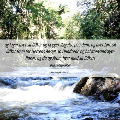 Picture 06 - 4 Mosebog 16:17 DA1871 - og tager hver sit Ildkar og lægger Røgelse paa - Bible Verse Picture