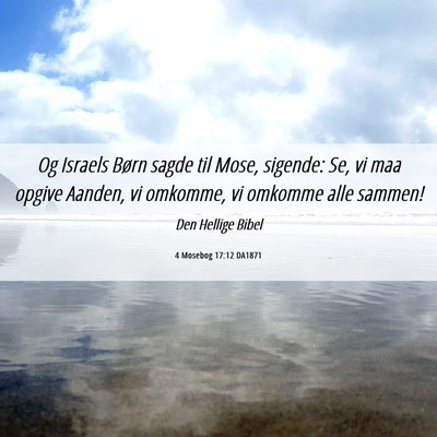 Picture 06 - 4 Mosebog 17:12 DA1871 - Og Israels Børn sagde til Mose, sigende: Se, vi - Bible Verse Picture