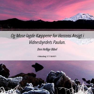 Picture 06 - 4 Mosebog 17:7 DA1871 - Og Mose lagde Kæppene for Herrens Ansigt i - Bible Verse Picture