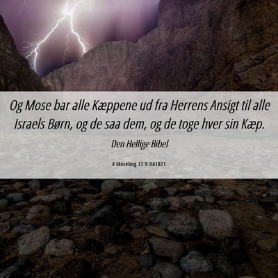 Picture 06 - 4 Mosebog 17:9 DA1871 - Og Mose bar alle Kæppene ud fra Herrens Ansigt - Bible Verse Picture