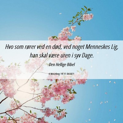 Picture 06 - 4 Mosebog 19:11 DA1871 - Hvo som rører ved en død, ved noget Menneskes - Bible Verse Picture