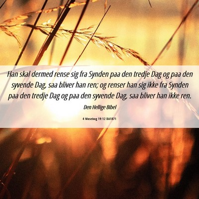 Picture 06 - 4 Mosebog 19:12 DA1871 - Han skal dermed rense sig fra Synden paa den - Bible Verse Picture