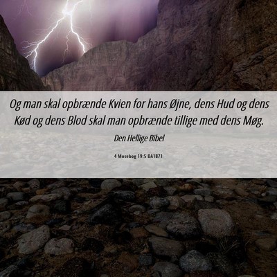 Picture 06 - 4 Mosebog 19:5 DA1871 - Og man skal opbrænde Kvien for hans Øjne, dens - Bible Verse Picture