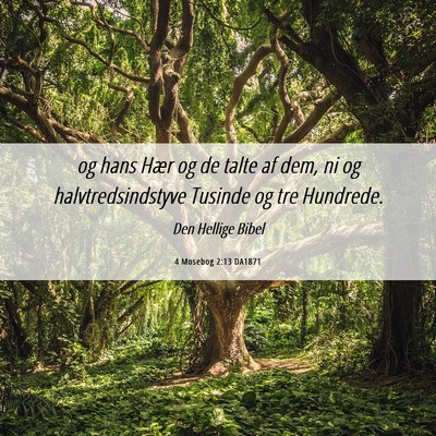 Picture 06 - 4 Mosebog 2:13 DA1871 - og hans Hær og de talte af dem, ni og - Bible Verse Picture