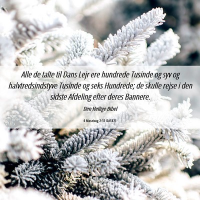 Picture 06 - 4 Mosebog 2:31 DA1871 - Alle de talte til Dans Lejr ere hundrede Tusinde - Bible Verse Picture