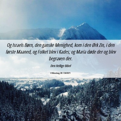 Picture 06 - 4 Mosebog 20:1 DA1871 - Og Israels Børn, den ganske Menighed, kom i den - Bible Verse Picture