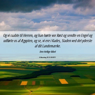 Picture 06 - 4 Mosebog 20:16 DA1871 - Og vi raabte til Herren, og han hørte vor Røst - Bible Verse Picture