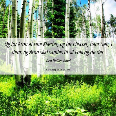 Picture 06 - 4 Mosebog 20:26 DA1871 - Og før Aron af sine Klæder, og før Eleasar, - Bible Verse Picture