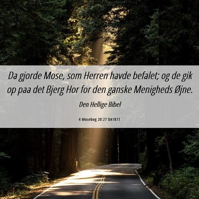 Picture 06 - 4 Mosebog 20:27 DA1871 - Da gjorde Mose, som Herren havde befalet; og de - Bible Verse Picture