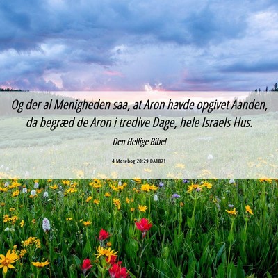 Picture 06 - 4 Mosebog 20:29 DA1871 - Og der al Menigheden saa, at Aron havde opgivet - Bible Verse Picture