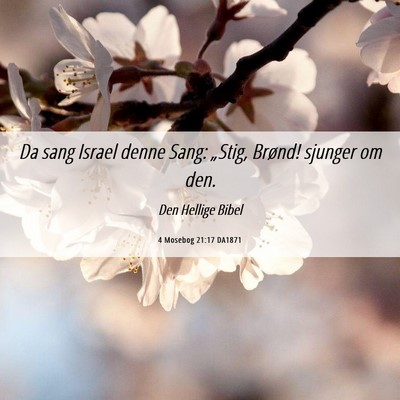 Picture 06 - 4 Mosebog 21:17 DA1871 - Da sang Israel denne Sang: „Stig, Brønd! - Bible Verse Picture
