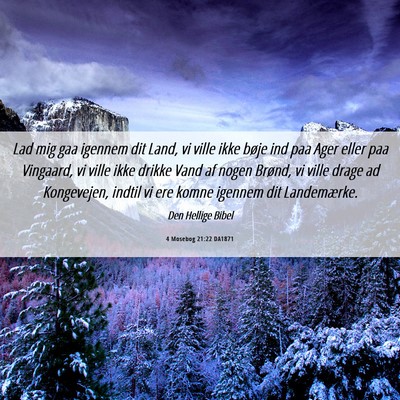 Picture 06 - 4 Mosebog 21:22 DA1871 - Lad mig gaa igennem dit Land, vi ville ikke bøje - Bible Verse Picture