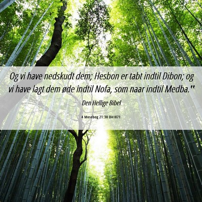 Picture 06 - 4 Mosebog 21:30 DA1871 - Og vi have nedskudt dem; Hesbon er tabt indtil - Bible Verse Picture