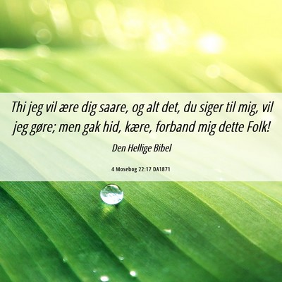 Picture 06 - 4 Mosebog 22:17 DA1871 - Thi jeg vil ære dig saare, og alt det, du siger - Bible Verse Picture