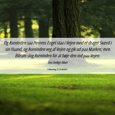 Picture 06 - 4 Mosebog 22:23 DA1871 - Og Aseninden saa Herrens Engel staa i Vejen med - Bible Verse Picture