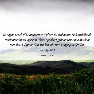Picture 06 - 4 Mosebog 22:4 DA1871 - Da sagde Moab til Midianiternes Ældste: Nu skal - Bible Verse Picture
