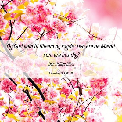 Picture 06 - 4 Mosebog 22:9 DA1871 - Og Gud kom til Bileam og sagde: Hvo ere de Mænd, - Bible Verse Picture