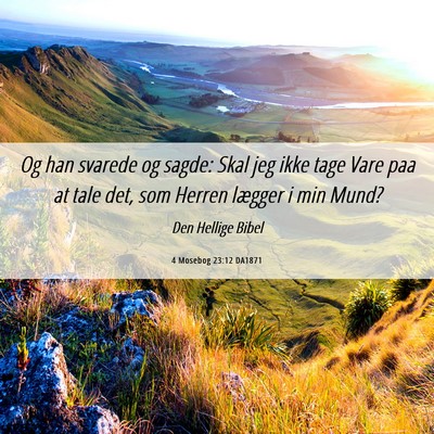 Picture 06 - 4 Mosebog 23:12 DA1871 - Og han svarede og sagde: Skal jeg ikke tage Vare - Bible Verse Picture
