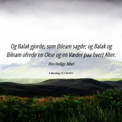 Picture 06 - 4 Mosebog 23:2 DA1871 - Og Balak gjorde, som Bileam sagde; og Balak og - Bible Verse Picture