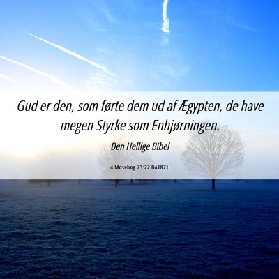 Picture 06 - 4 Mosebog 23:22 DA1871 - Gud er den, som førte dem ud af Ægypten, de - Bible Verse Picture