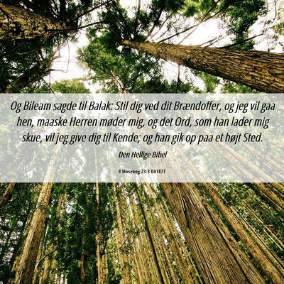 Picture 06 - 4 Mosebog 23:3 DA1871 - Og Bileam sagde til Balak: Stil dig ved dit - Bible Verse Picture