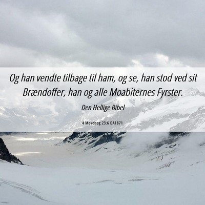 Picture 06 - 4 Mosebog 23:6 DA1871 - Og han vendte tilbage til ham, og se, han stod - Bible Verse Picture