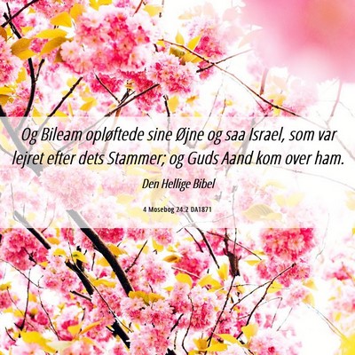 Picture 06 - 4 Mosebog 24:2 DA1871 - Og Bileam opløftede sine Øjne og saa Israel, - Bible Verse Picture