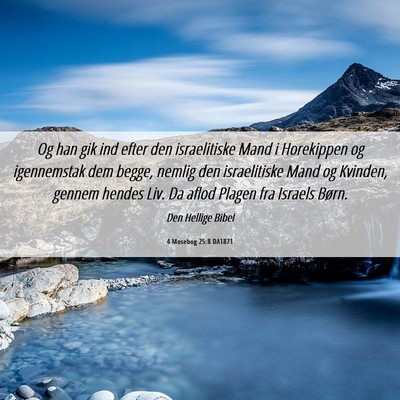Picture 06 - 4 Mosebog 25:8 DA1871 - Og han gik ind efter den israelitiske Mand i - Bible Verse Picture