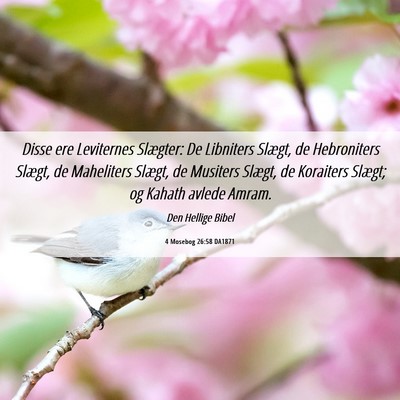 Picture 06 - 4 Mosebog 26:58 DA1871 - Disse ere Leviternes Slægter: De Libniters - Bible Verse Picture