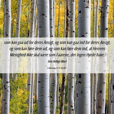 Picture 06 - 4 Mosebog 27:17 DA1871 - som kan gaa ud for deres Ansigt, og som kan gaa - Bible Verse Picture
