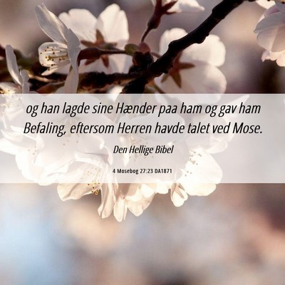 Picture 06 - 4 Mosebog 27:23 DA1871 - og han lagde sine Hænder paa ham og gav ham - Bible Verse Picture