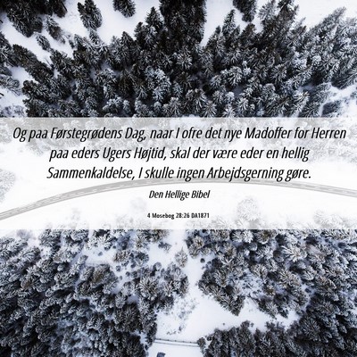 Picture 06 - 4 Mosebog 28:26 DA1871 - Og paa Førstegrødens Dag, naar I ofre det nye - Bible Verse Picture
