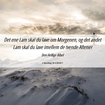 Picture 06 - 4 Mosebog 28:4 DA1871 - Det ene Lam skal du lave om Morgenen, og det - Bible Verse Picture