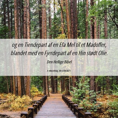 Picture 06 - 4 Mosebog 28:5 DA1871 - og en Tiendepart af en Efa Mel til et Madoffer, - Bible Verse Picture
