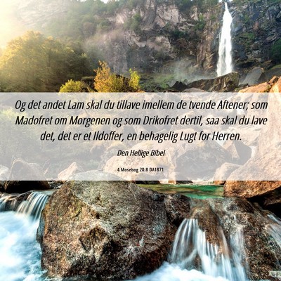 Picture 06 - 4 Mosebog 28:8 DA1871 - Og det andet Lam skal du tillave imellem de - Bible Verse Picture