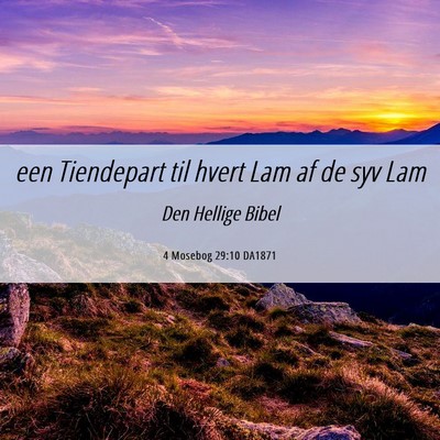 Picture 06 - 4 Mosebog 29:10 DA1871 - een Tiendepart til hvert Lam af de syv - Bible Verse Picture